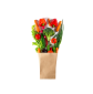 Fresh Vegetables in a paper bag