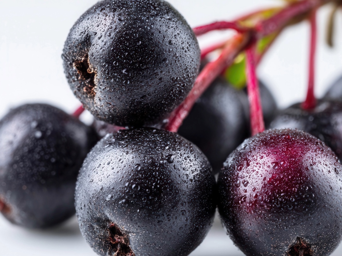 Aronia Berry
